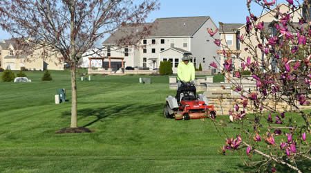 Landscape Maintenance For Large Residential and Commercial Properties.