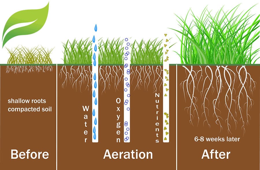 Diagram Of How Lawn Aeration Works