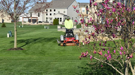 Best Rated Lawn Care Services