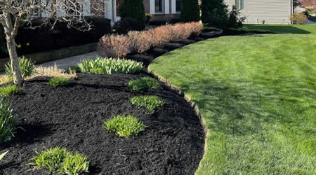 Bark Mulch Installation On A Medium Sized Property.