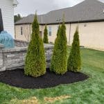 Bark Mulch Installation Around Hedges By GroundSmith