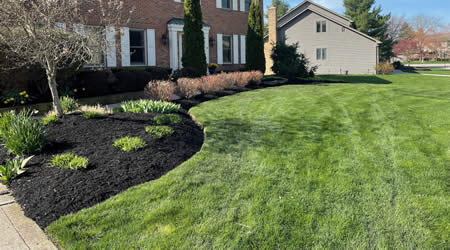 Property Maintenance and Landscaping Maintenance