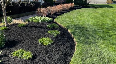seasonal cleanup and mulch installation