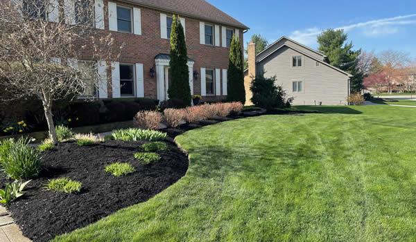 Spring Yard and Landscape Cleanup Services