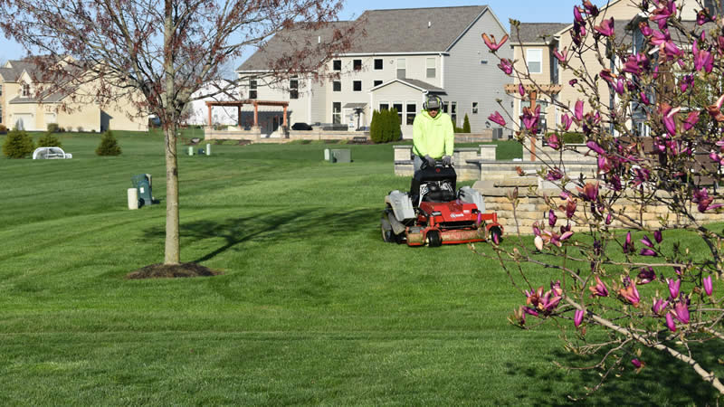 Lawn Mowing