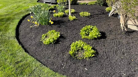 Small Landscape Designs